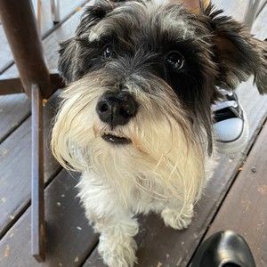 Meet your Posher, Leonor